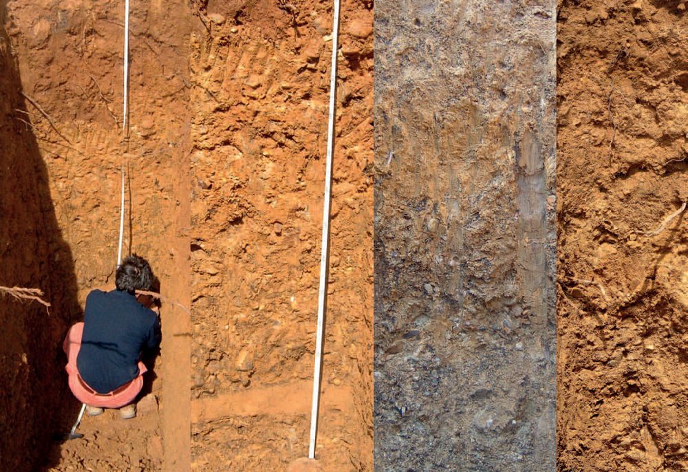 Plate III &mdash; Soil profiles of the two vineyards