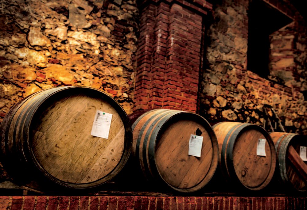 Plate VII &mdash; The barrel cellar of Villa Antonietta